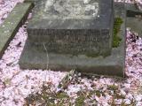image of grave number 683352